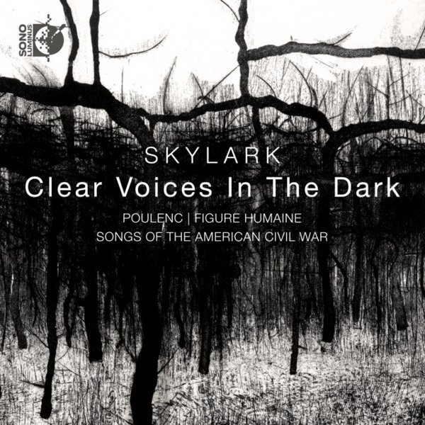  Clear Voices in the Dark cover