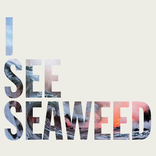 I See Seaweed album cover