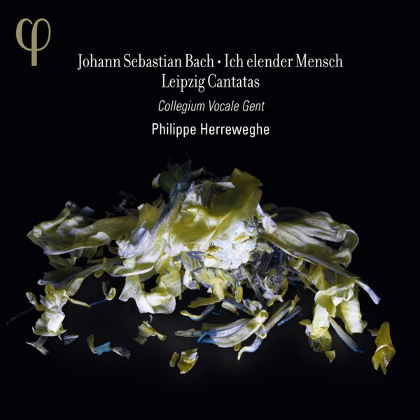 Bach: Ich elender Mensch - Leipzig Cantatas album cover