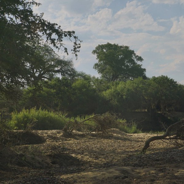 Dawn To Morning In A Dry River Bed cover