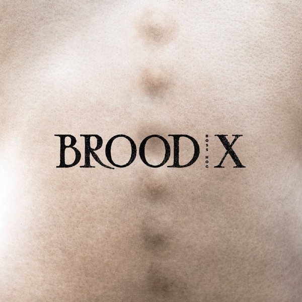 Brood X album cover