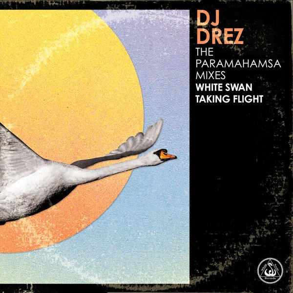 The Paramahamsa Mixes (White Swan Taking Flight) cover
