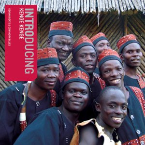 African Stringed Instruments cover