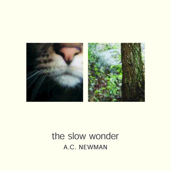 The Slow Wonder album cover