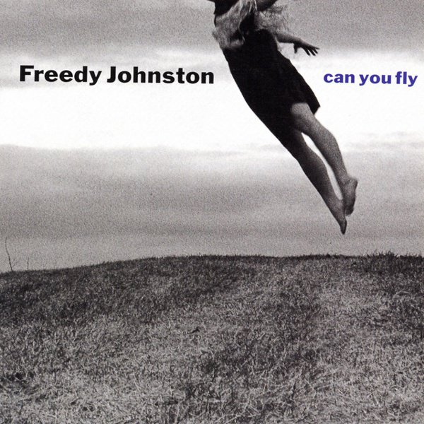 Can You Fly album cover