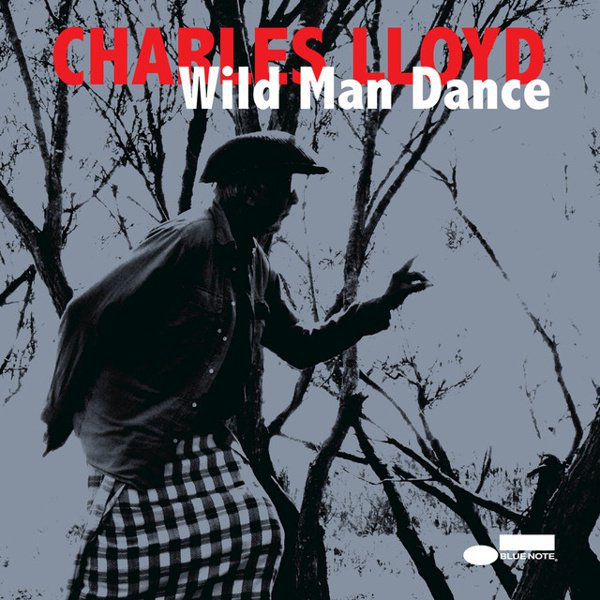 Wild Man Dance (Live At Jazztopad Festival, Wroclaw, Poland) album cover