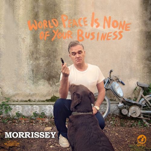 World Peace Is None of Your Business album cover