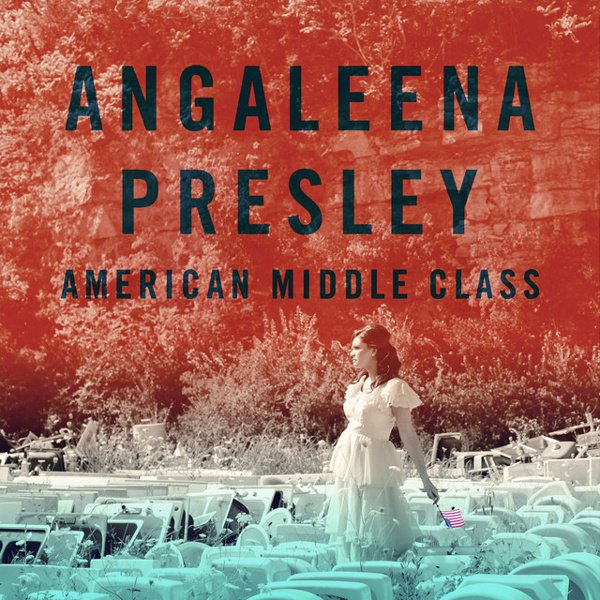 American Middle Class cover