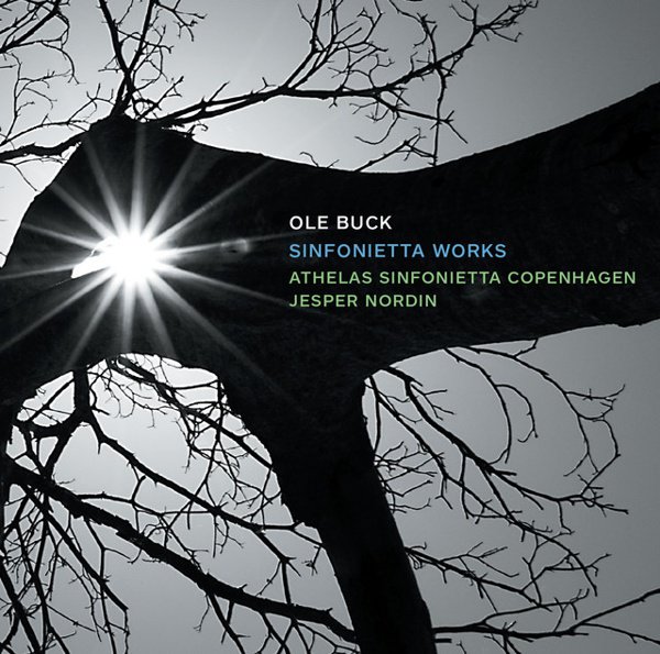 Ole Buck: Sinfonietta Works cover