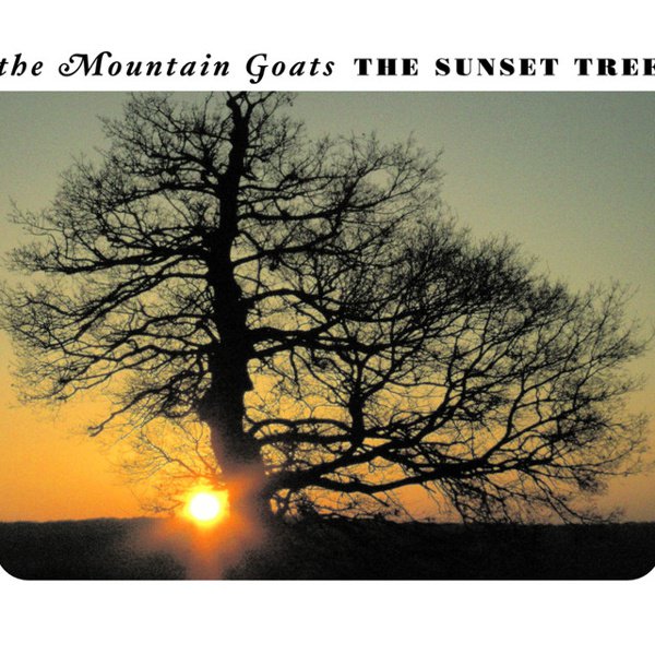 The Sunset Tree cover