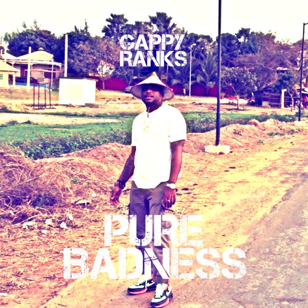 Pure Badness cover