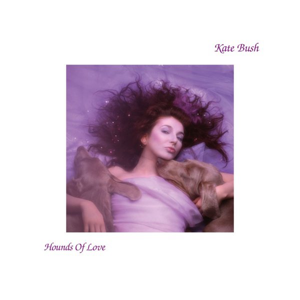 Hounds of Love album cover