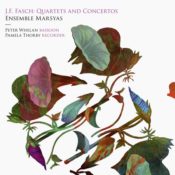 J.F. Fasch: Quartets and Concertos album cover