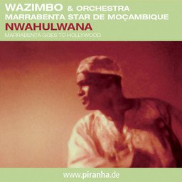 Nwahulwana album cover