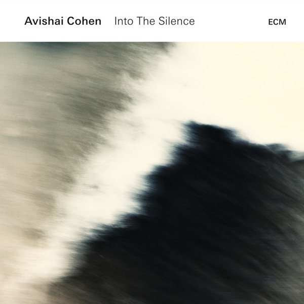 Into the Silence album cover