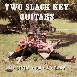 Hawaiian Slack-Key Guitar cover