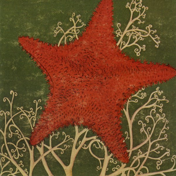 Arm of the Starfish album cover
