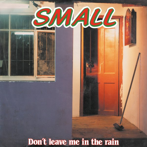 Don&#8217;t Leave Me In The Rain cover