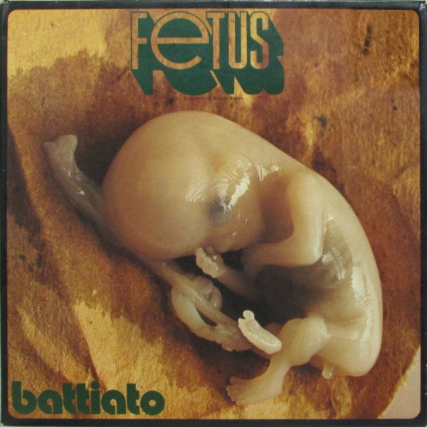 Fetus cover
