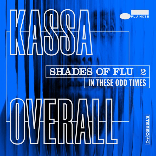 Shades of Flu 2 cover
