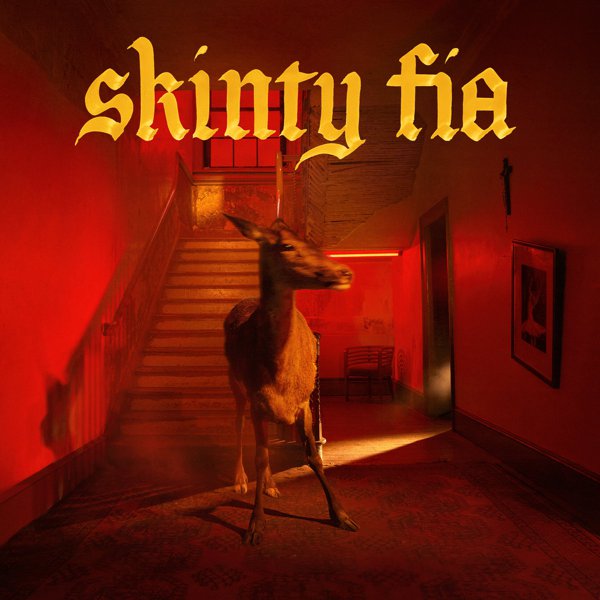 Skinty Fia album cover