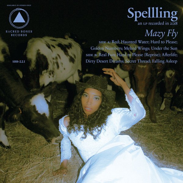 Mazy Fly cover