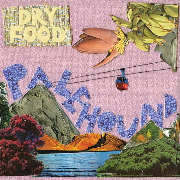 Dry Food album cover
