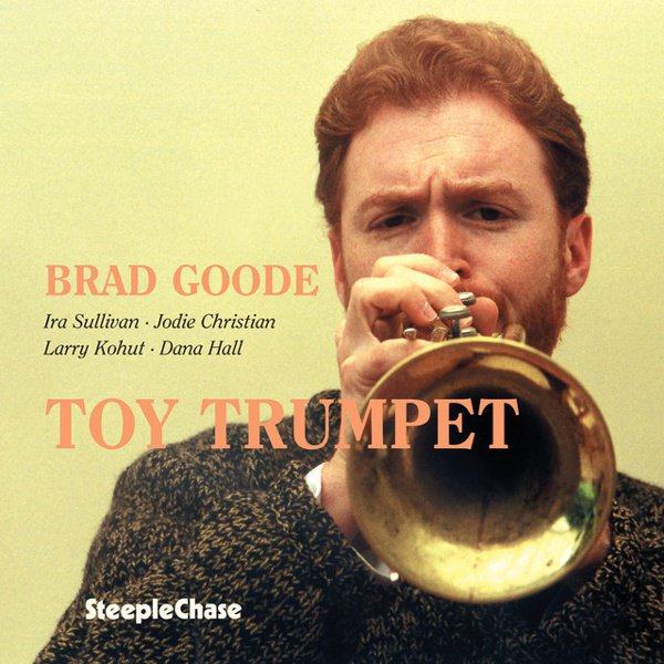 Toy Trumpet cover