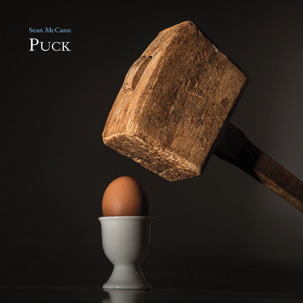 Puck cover