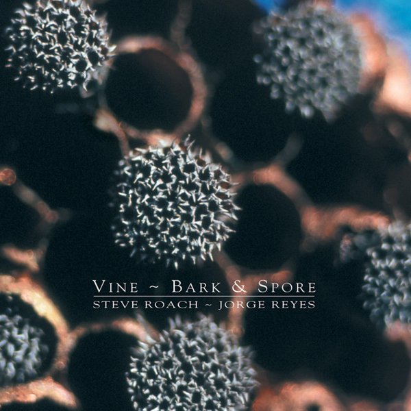 Vine ~ Bark & Spore album cover