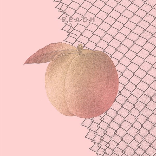 Peach cover