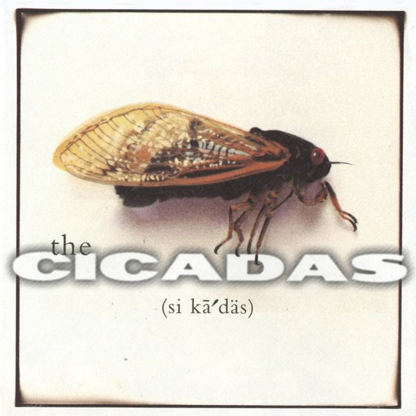 The Cicadas cover