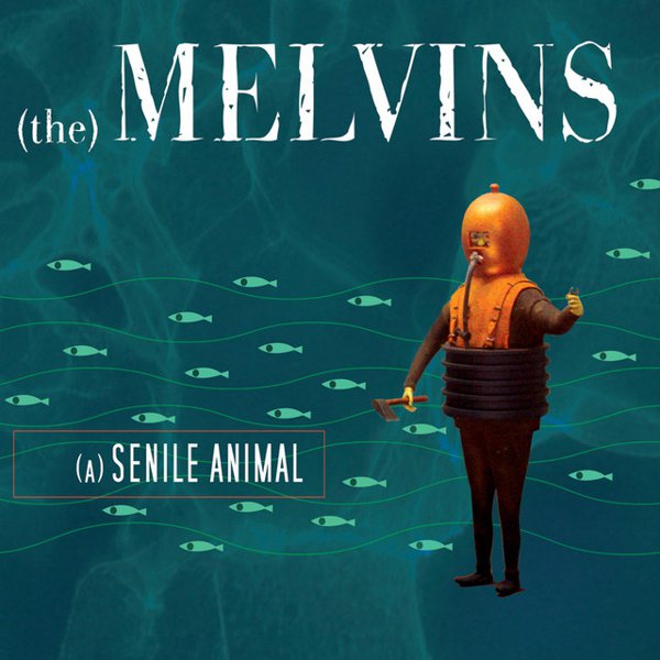 (A) Senile Animal cover