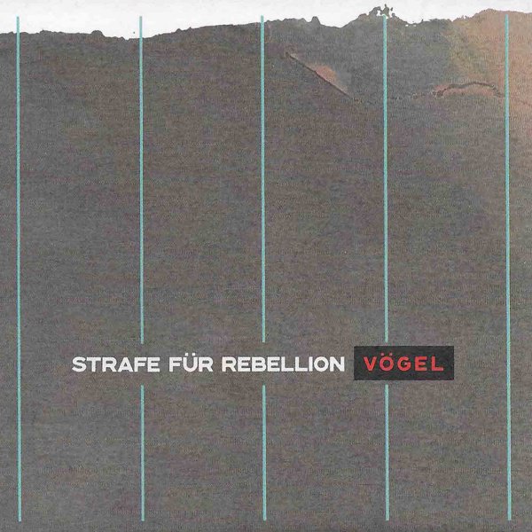 Vögel album cover