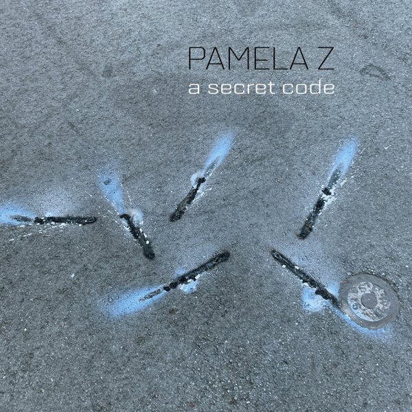 A Secret Code cover