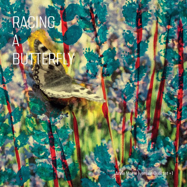Racing a Butterfly album cover