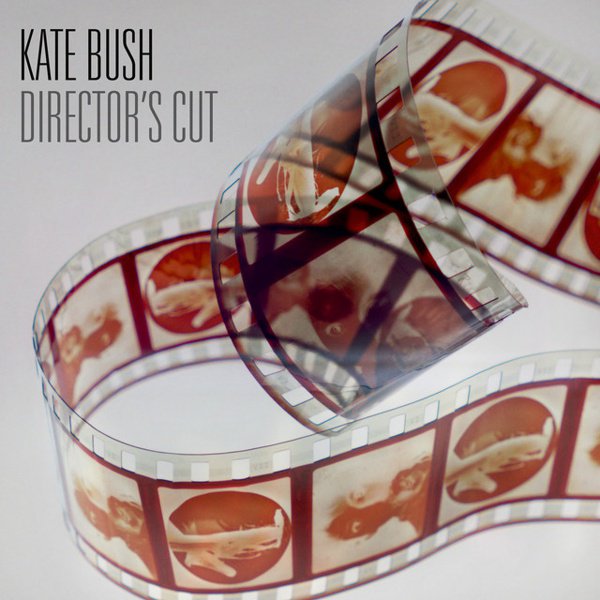 Director’s Cut album cover