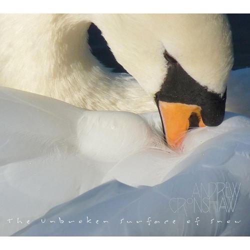 The Unbroken Surface Of Snow album cover