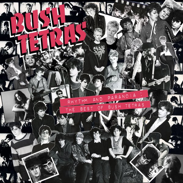 Rhythm and Paranoia: The Best of Bush Tetras cover