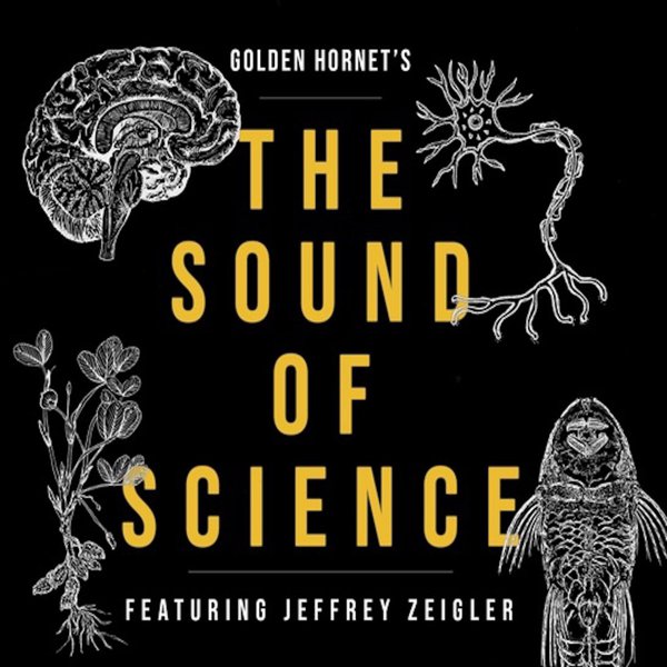 The Sound of Science cover