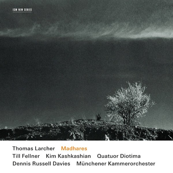 Thomas Larchner: Madhares cover