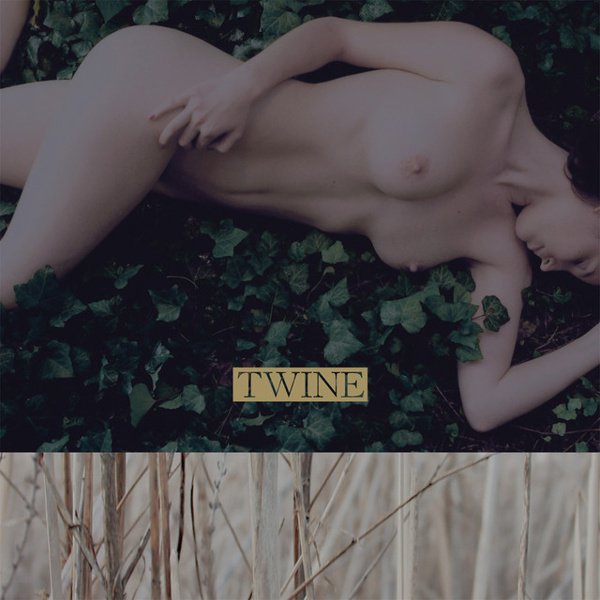 Twine album cover