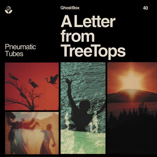 A Letter from TreeTops cover