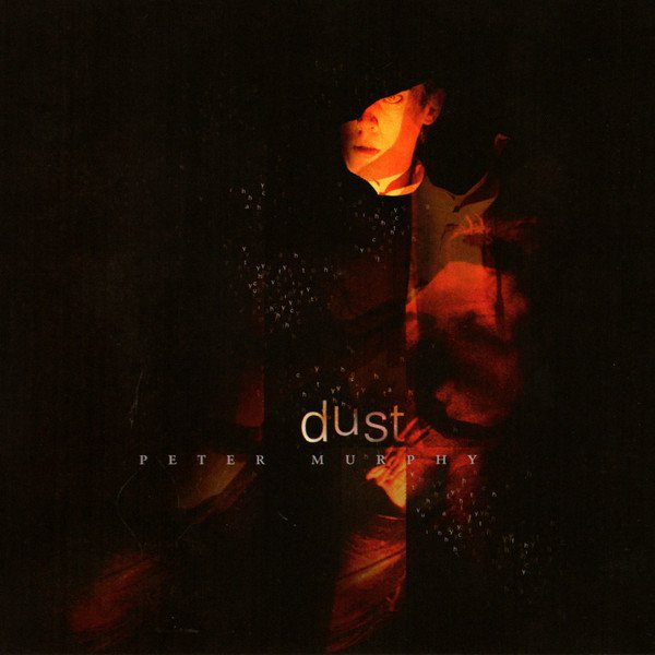 Dust album cover