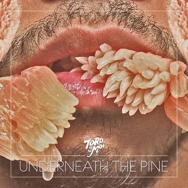 Underneath the Pine album cover