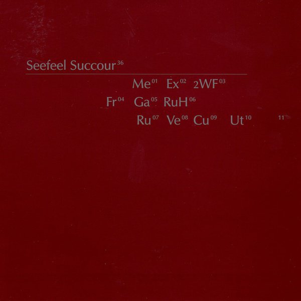 Succour album cover