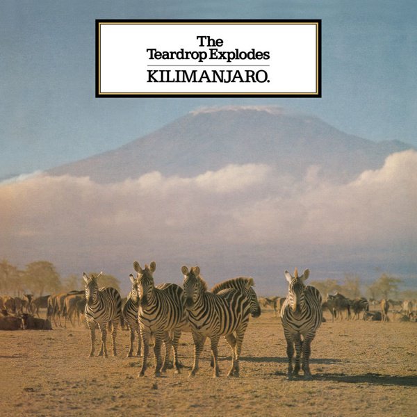 Kilimanjaro album cover
