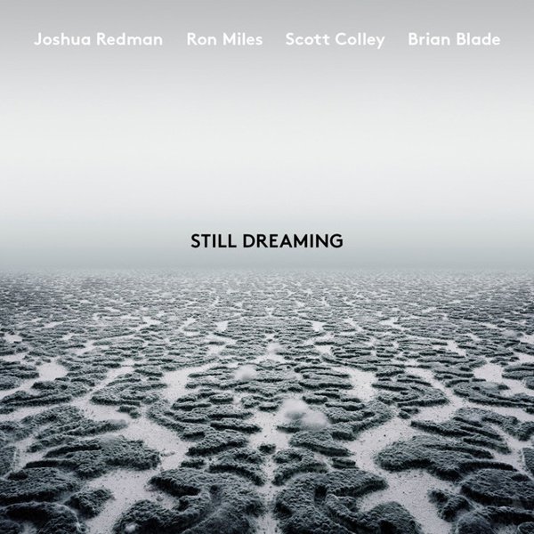 Still Dreaming album cover