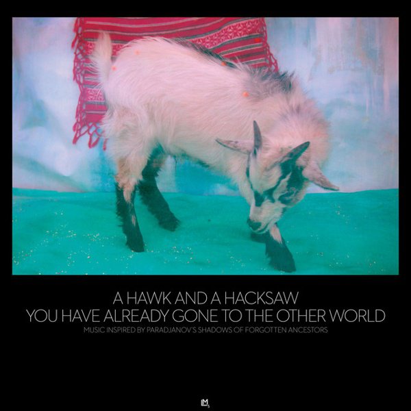 You Have Already Gone to the Other World album cover