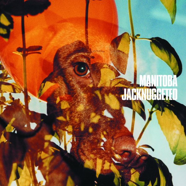 Jacknuggeted cover